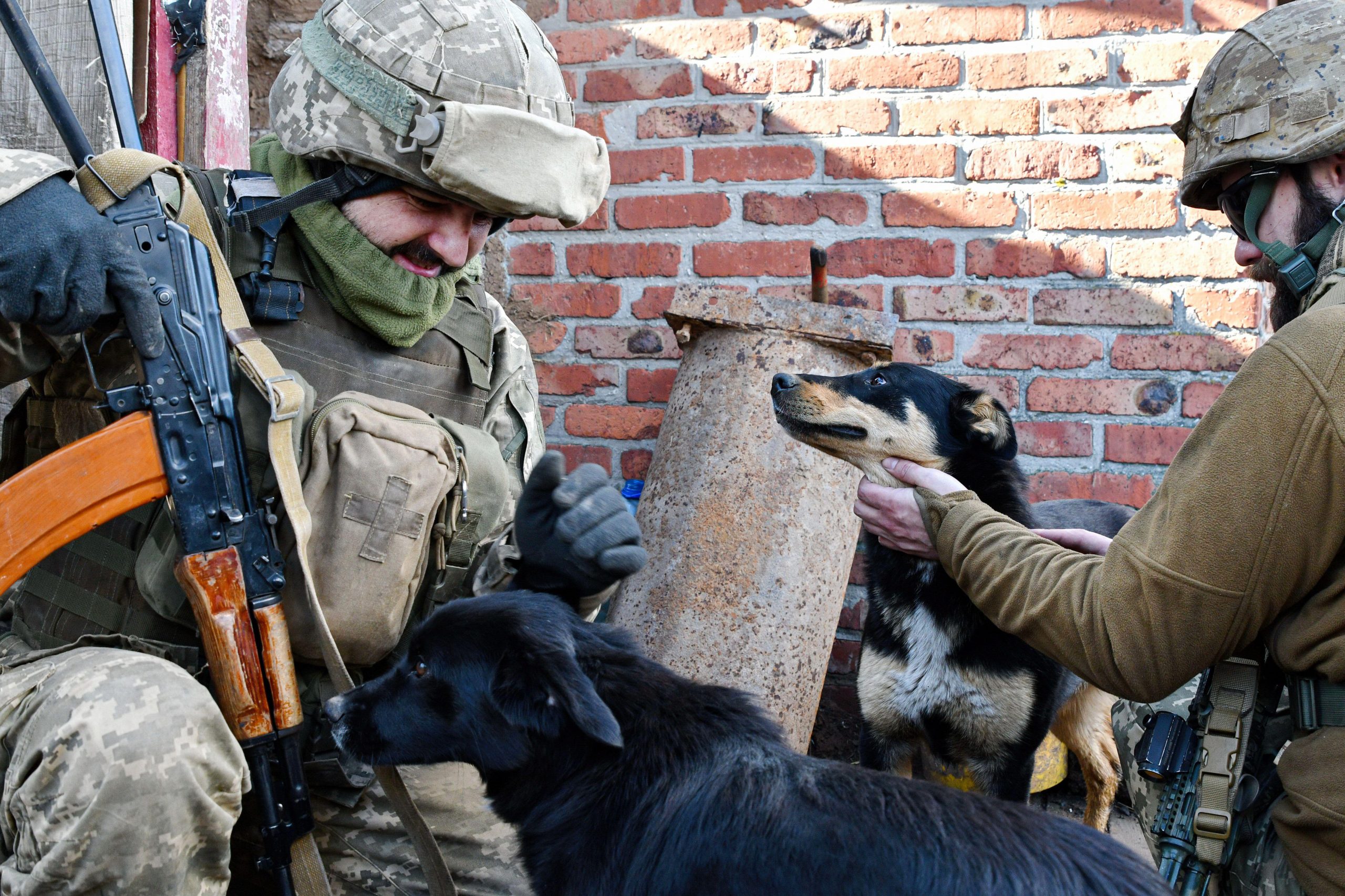 Ukrainian soldiers with dogs – The Tribune